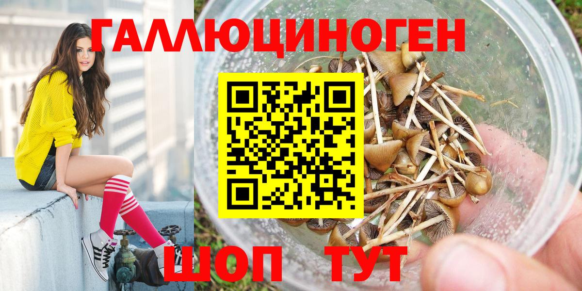 Галлюциногенные грибы Cubensis  Вход с VPN  где продают   Галлюциногенные грибы Psilocybe  Нефтекумск 